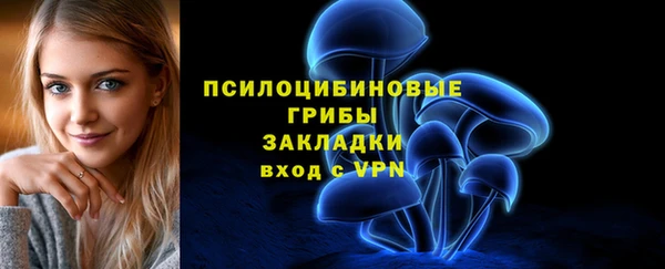 гашик Горняк