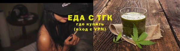 гашик Горняк