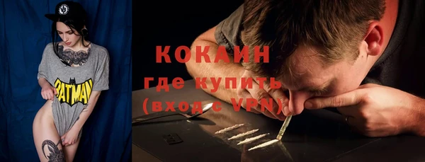 гашик Горняк