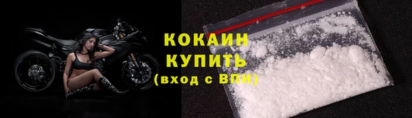 гашик Горняк