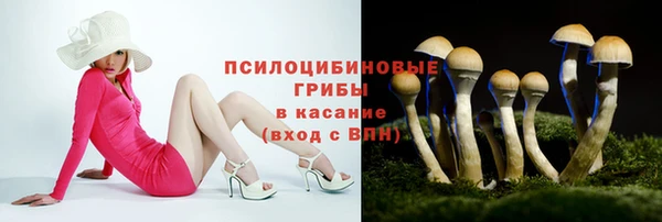 гашик Горно-Алтайск