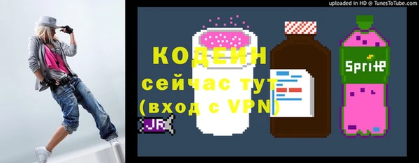 гашик Горно-Алтайск