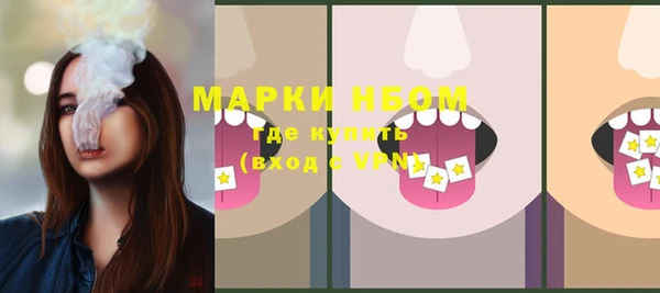 гашик Горняк