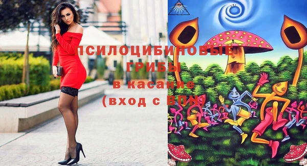 гашик Горняк