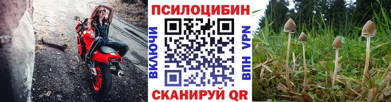 Купить  Печора  Псилоцибиновые грибы прущие грибы 